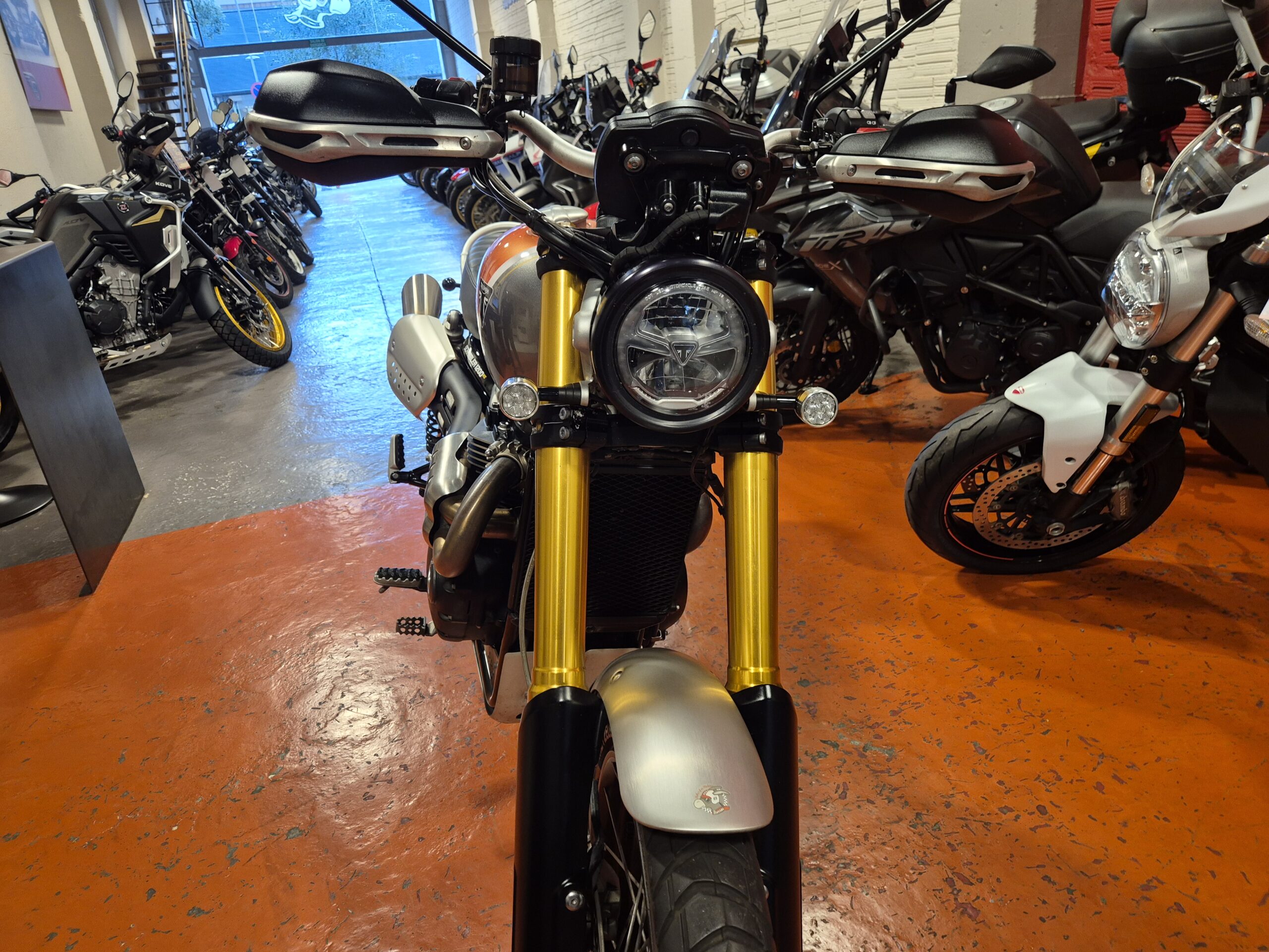 TRIUMPH SCRAMBLER 1200 XE GOLD LINE - Imagen 3