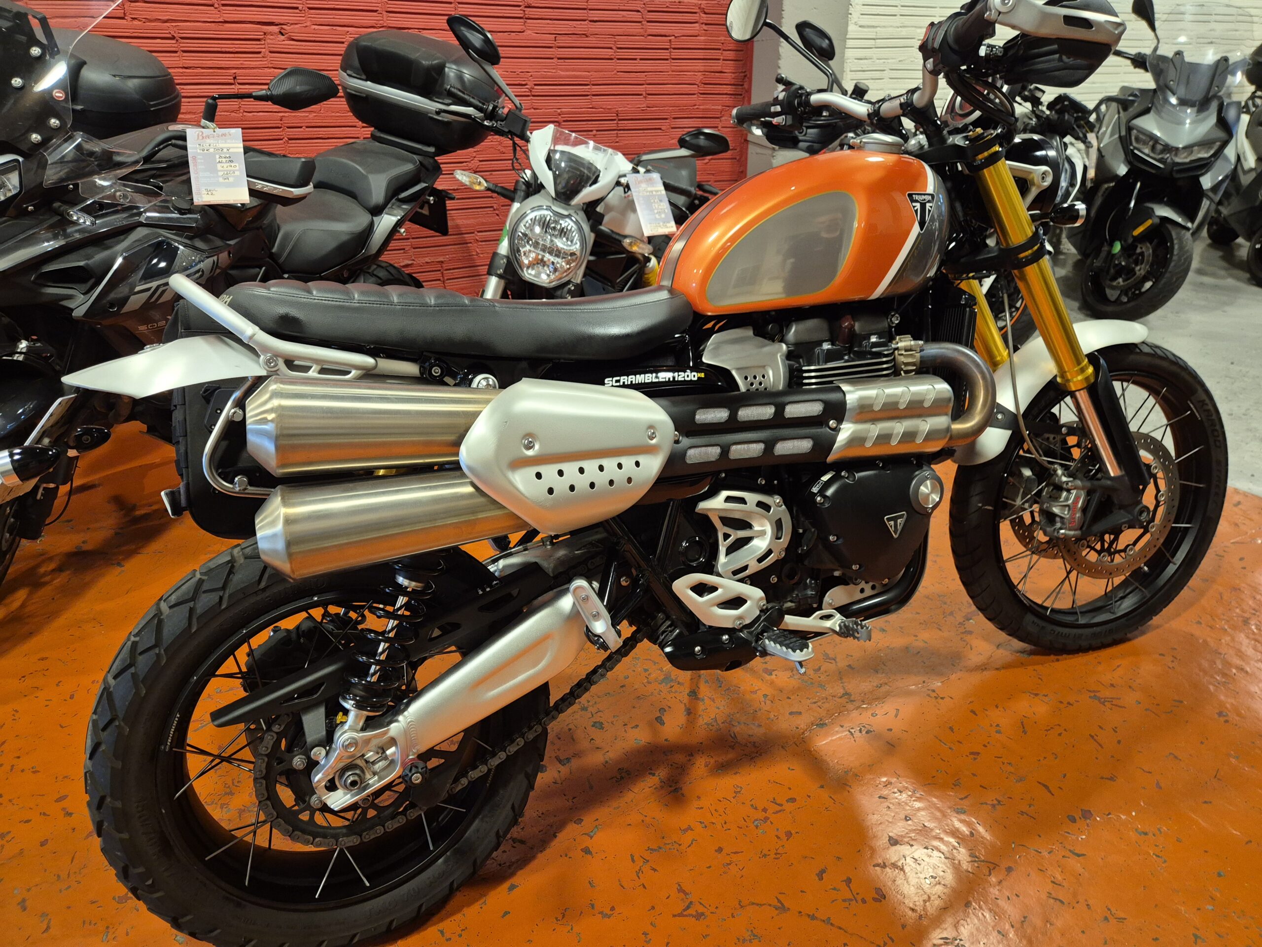 TRIUMPH SCRAMBLER 1200 XE GOLD LINE - Imagen 6