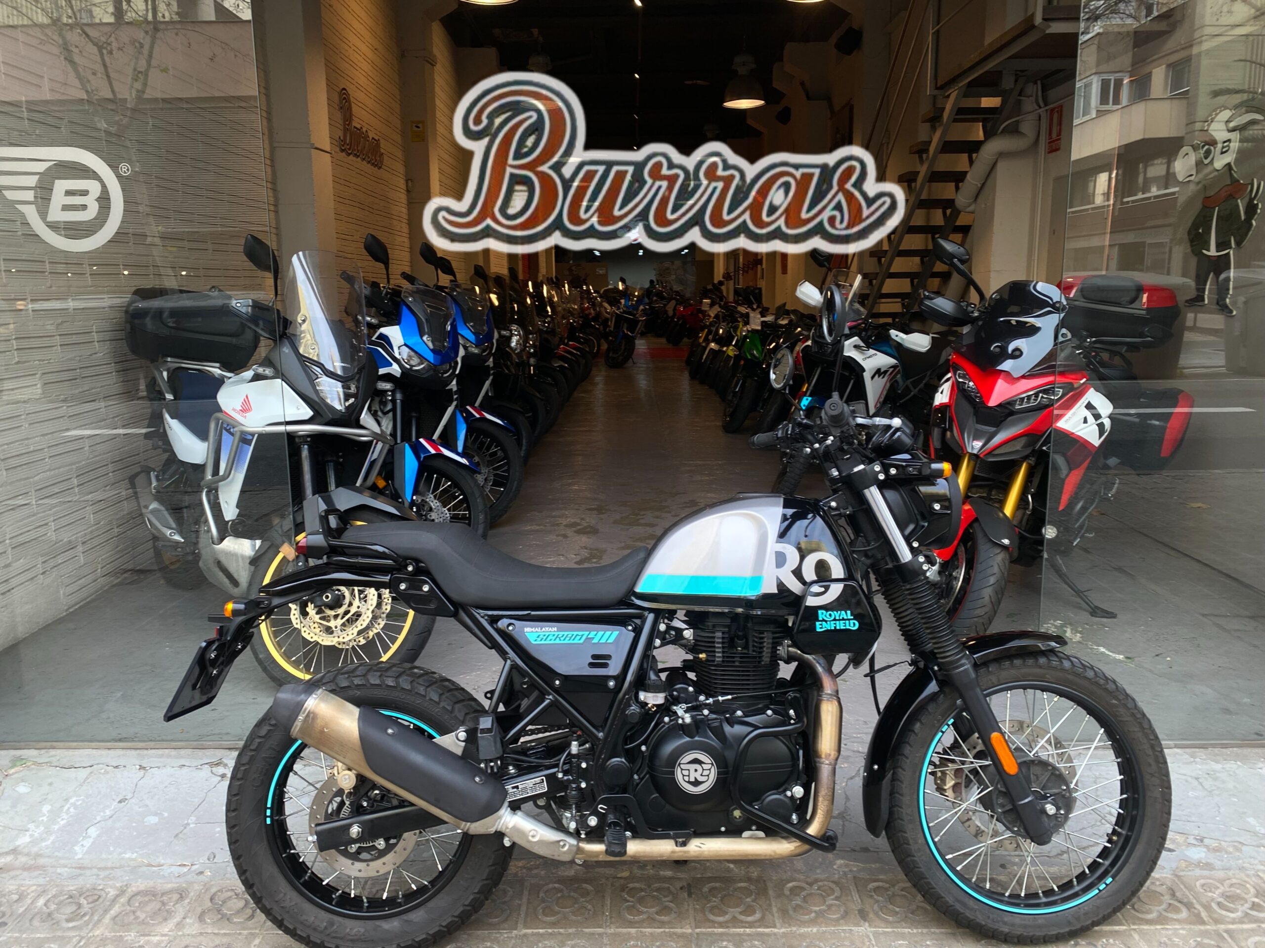 IMG_3401-fotor-2026011611271