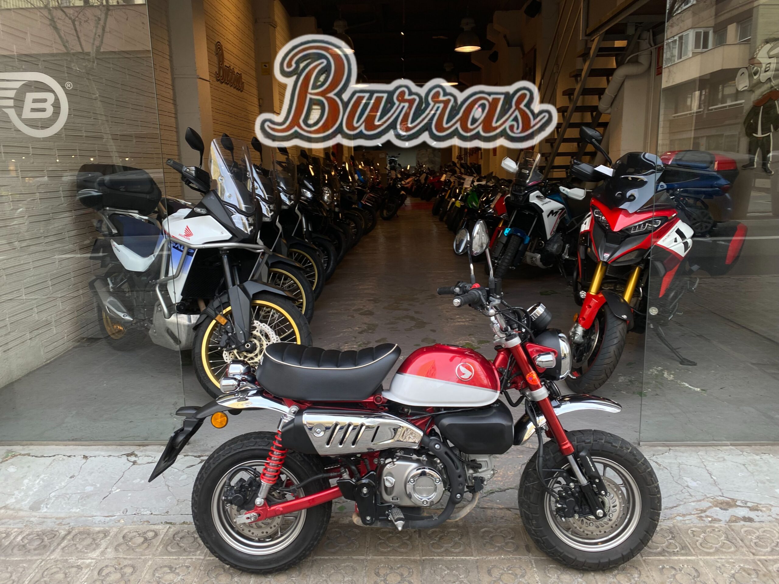 IMG_3546-fotor-2026012612955