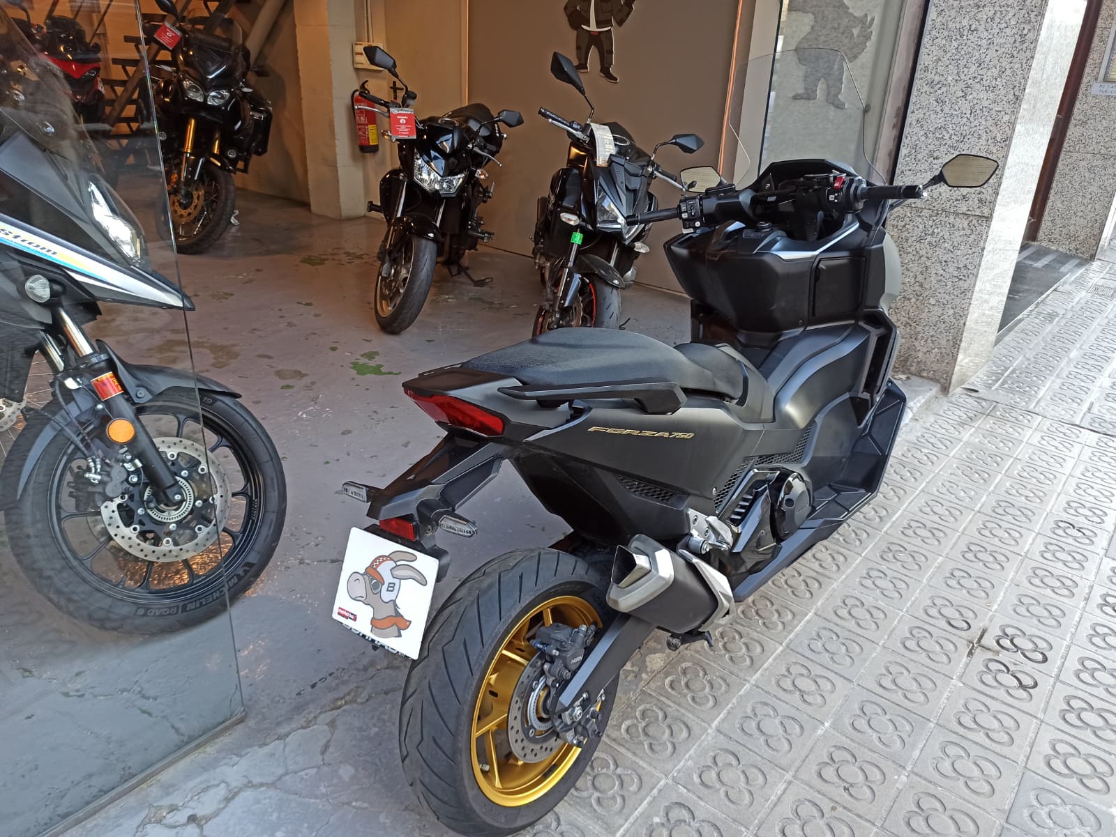 WhatsApp Image 2026-03-17 at 17.37.33 (1)