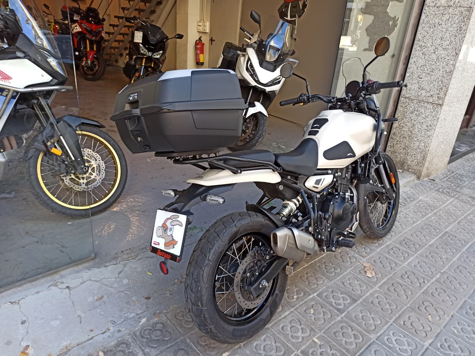 WhatsApp Image 2026-03-20 at 11.31.24 (2)