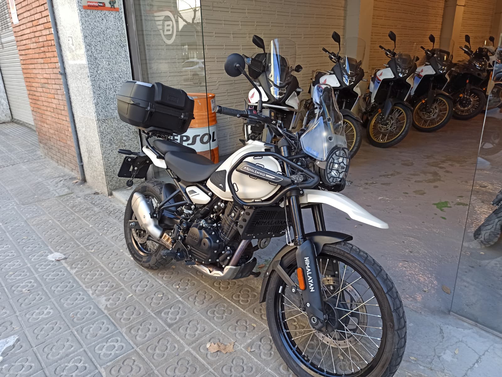 WhatsApp Image 2026-03-20 at 11.31.24