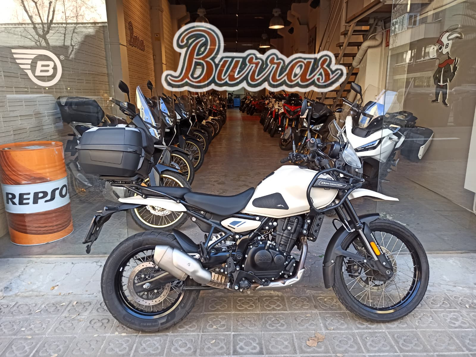 WhatsApp Image 2026-03-20 at 11.31.26-fotor-2026032011512