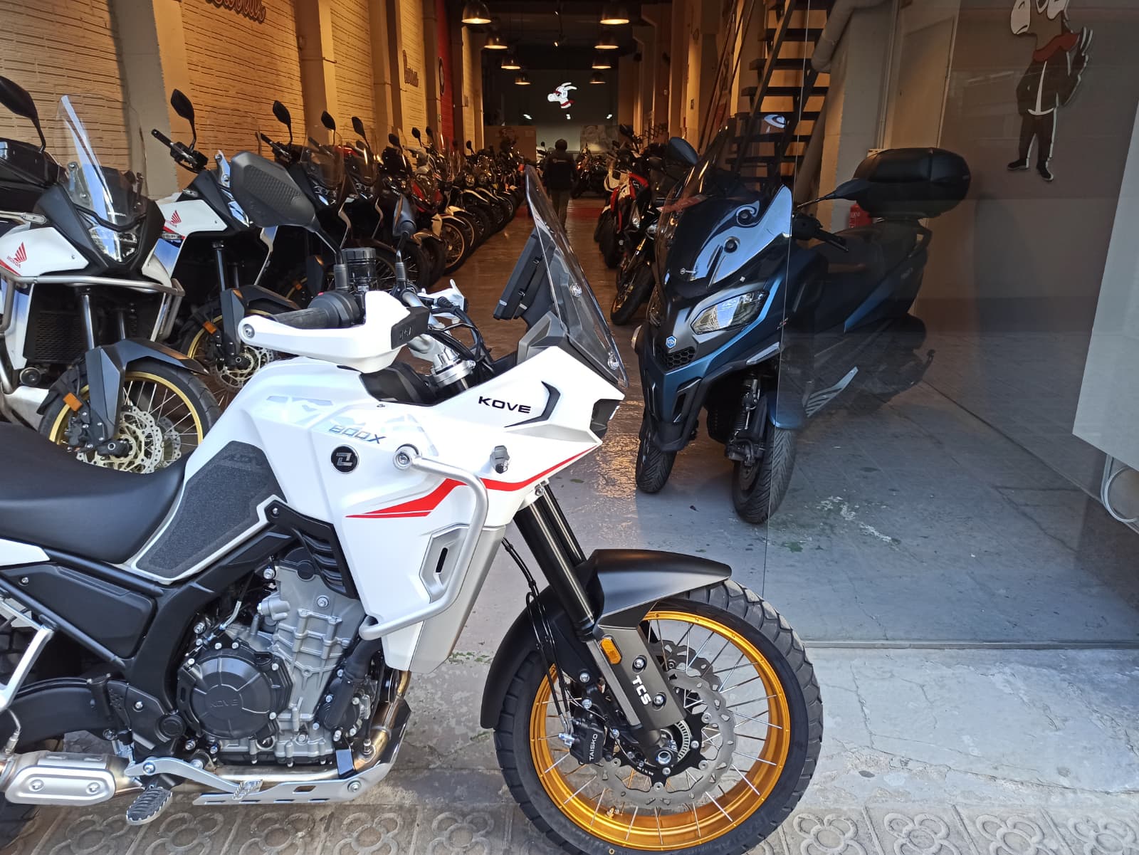 WhatsApp Image 2026-04-01 at 18.30.38 (1)