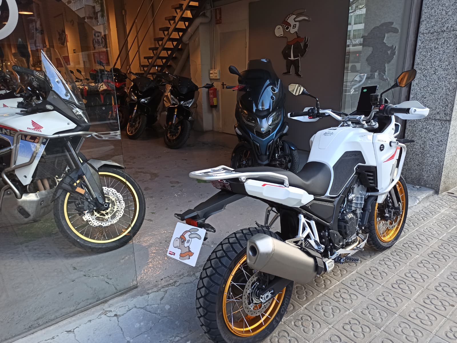 WhatsApp Image 2026-04-01 at 18.30.38 (3)