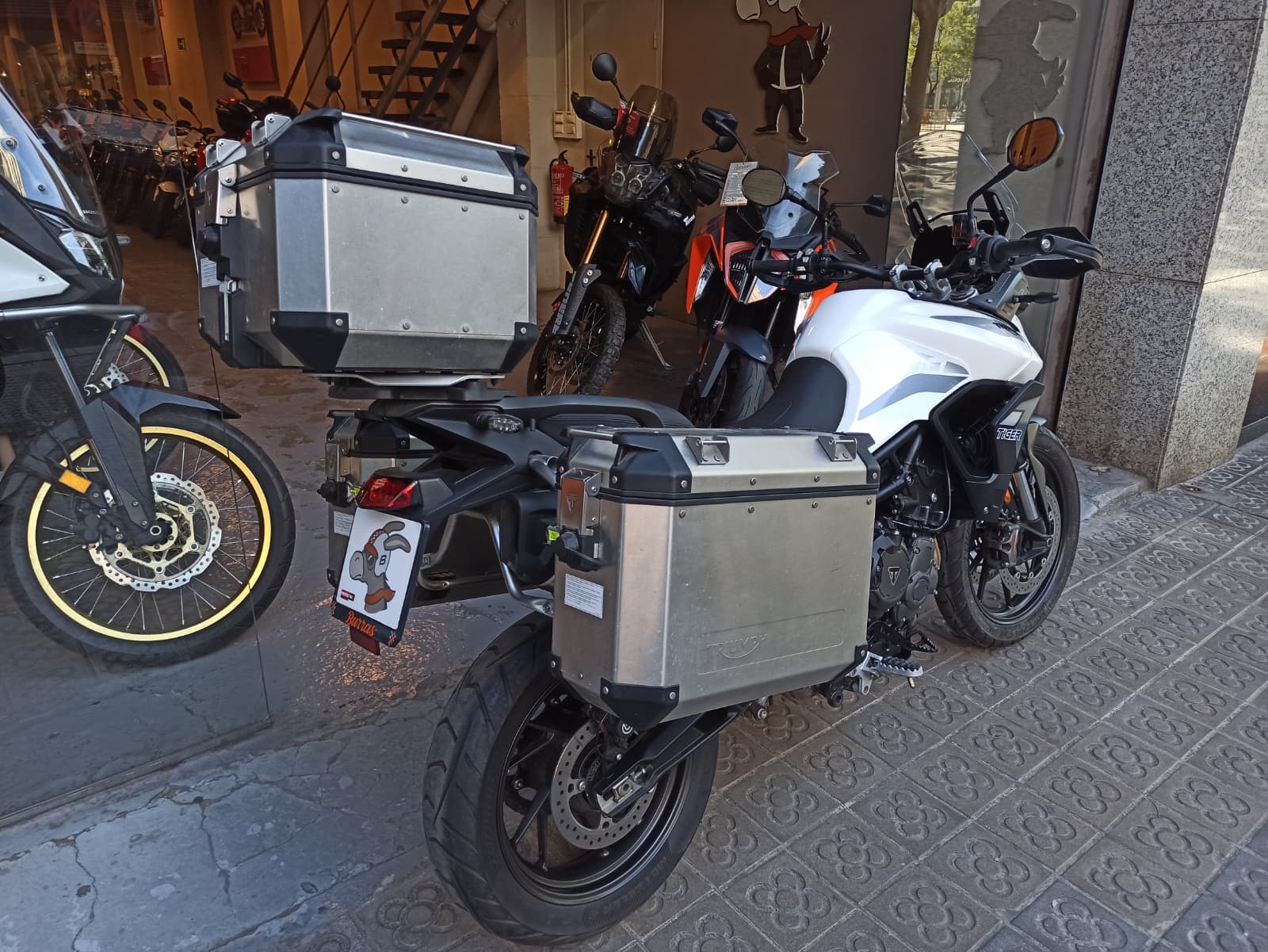 TRIUMPH TIGER 900 GT - Imagen 7