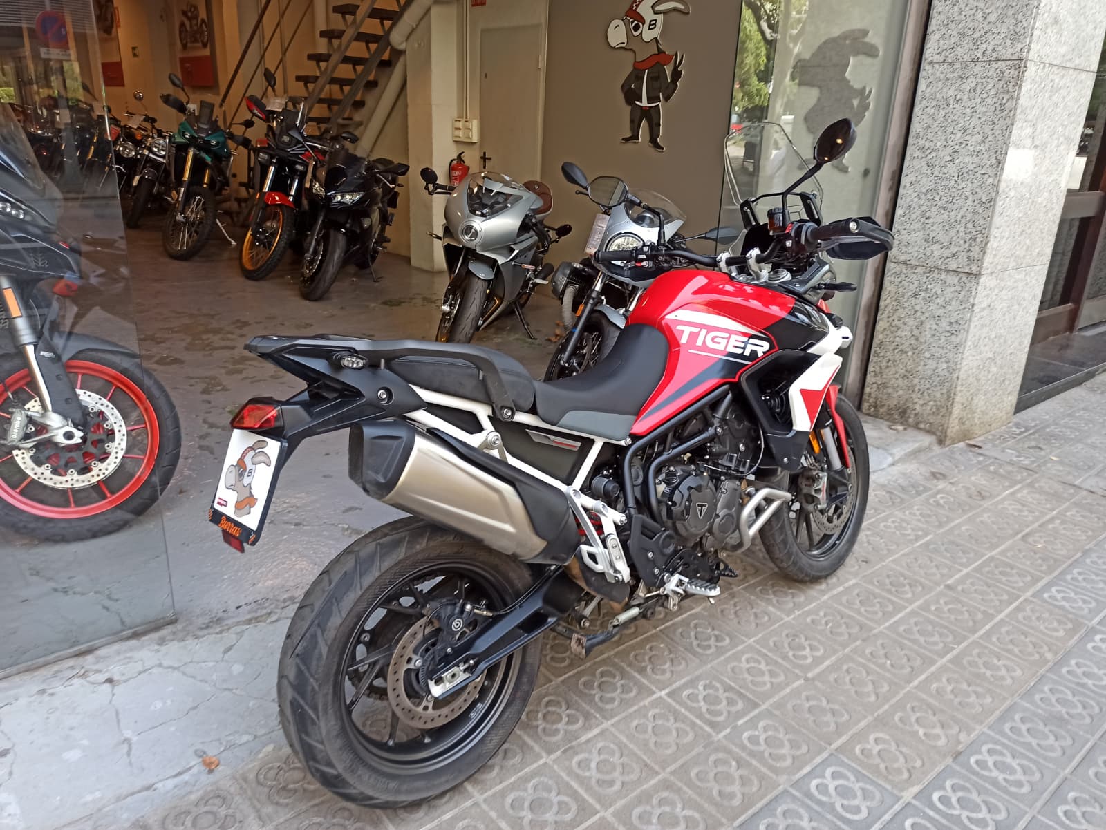 TRIUMPH TIGER 900 GT - Imagen 7